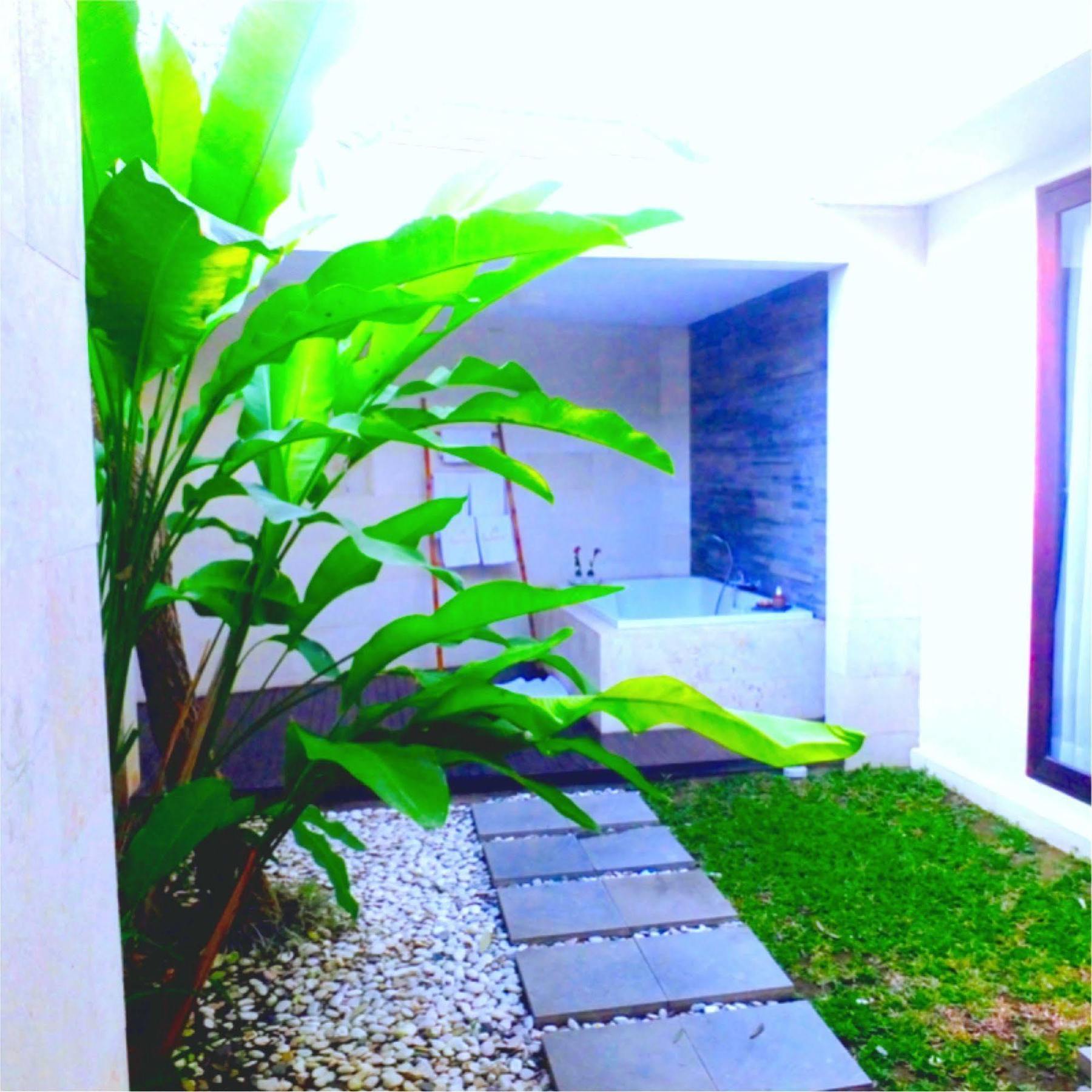 New Andamar Villas Seminyak  Exterior photo
